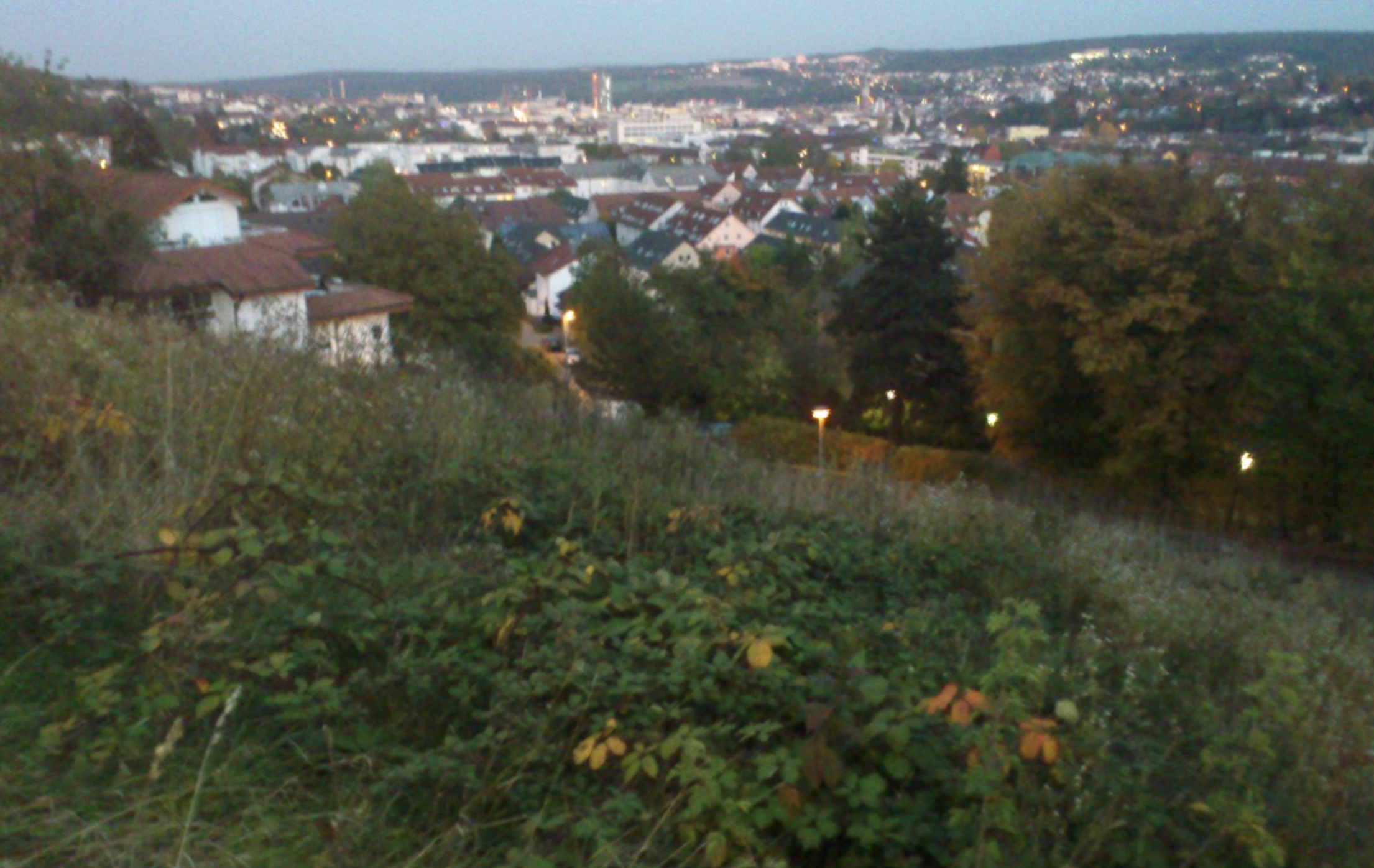 Maihälden ehemalige Weinbaugebiete - Historische Ansicht der Hänge mit Weinreben